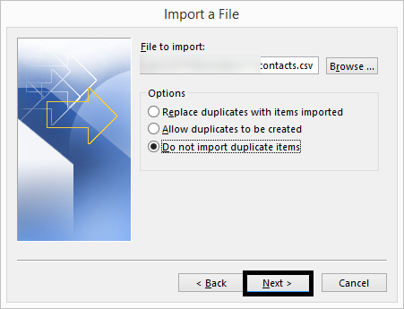 Import Duplicate Items